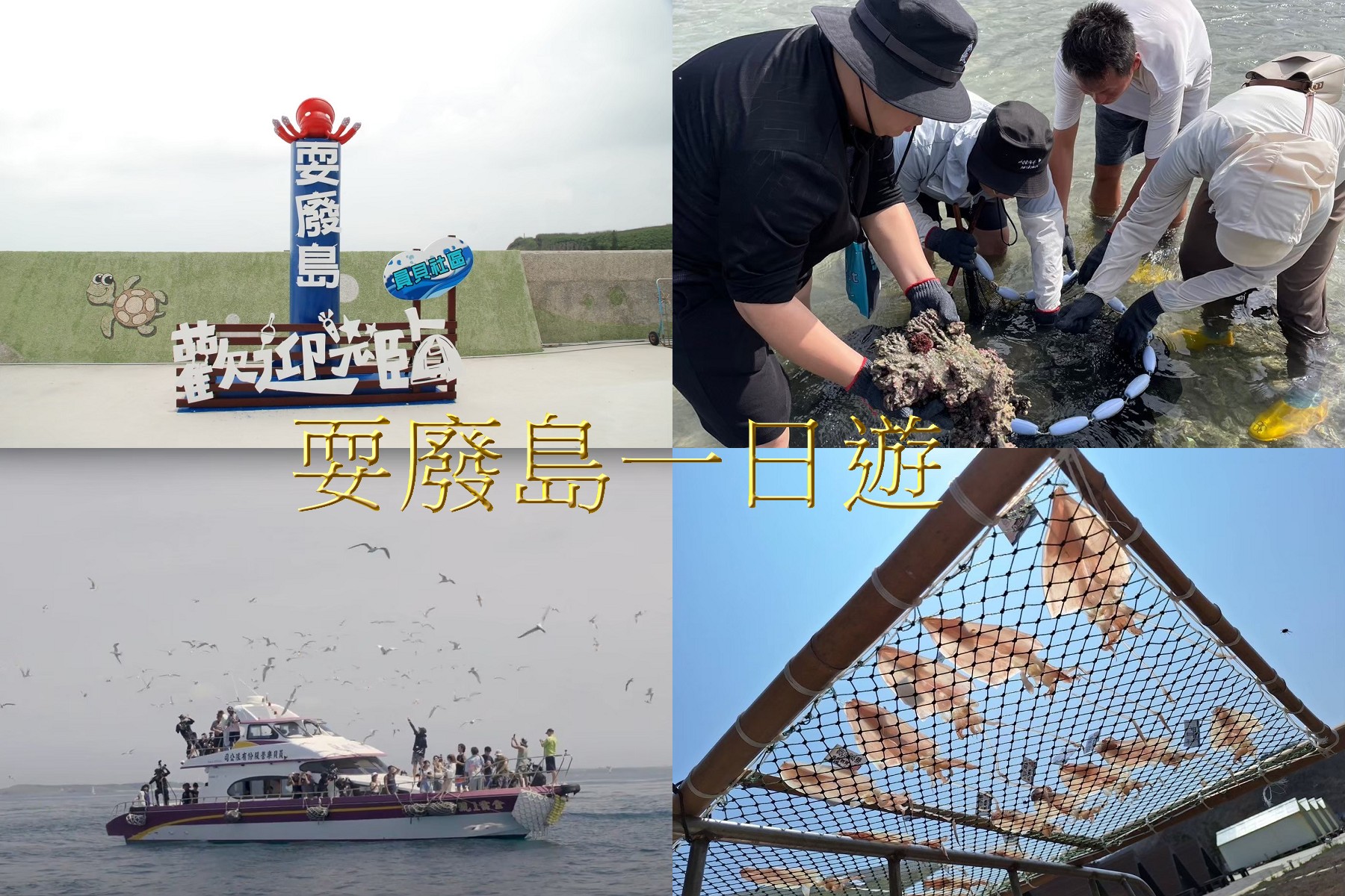 耍廢島一日遊