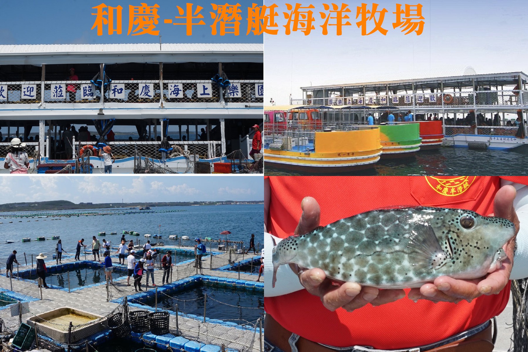 和慶-半潛艇海洋牧場